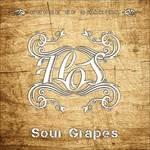 Sour Grapes - CD Audio di House of Shakira