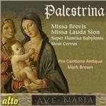 Missa Brevis - Lauda Sion - CD Audio di Giovanni Pierluigi da Palestrina,Pro Cantione Antiqua,Mark Brown