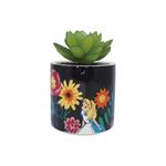 Disney: Half Moon Bay - Alice In Wonderland (Plant Pot Faux Boxed 6.5 Cm / Pianta Finta Con Vaso)