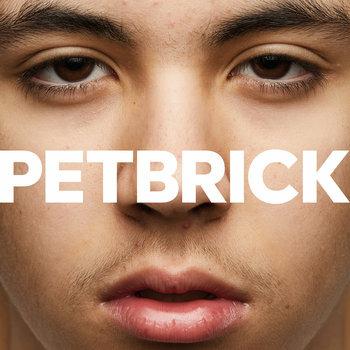 I - CD Audio di Petbrick