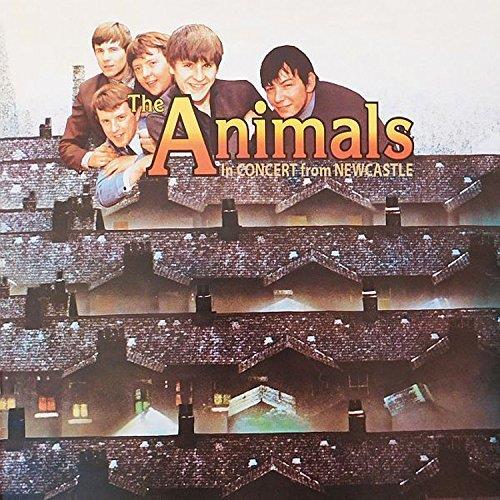 In Concert From Newcastle - CD Audio di Animals