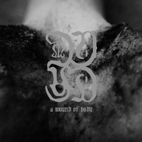 A Wound of Body - Vinile LP di Common Eider King Eider