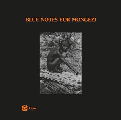 Blue Notes For Mongezi - Vinile LP di Blue Notes