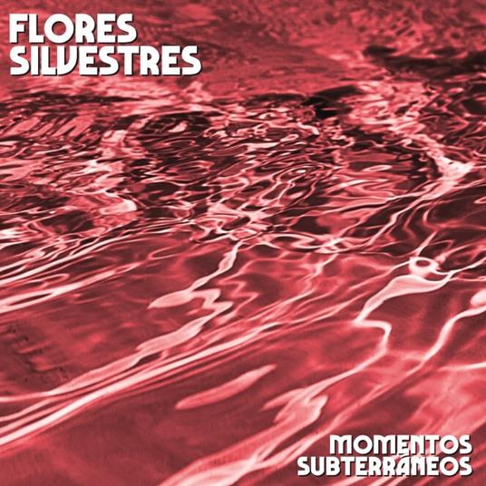 Momentos Subterraneos - Vinile LP di Flores Silvestres