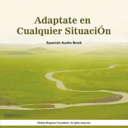 Adaptate en Cualquier SituaciÓn - Spanish Audio Book