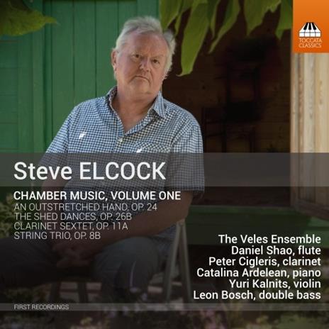 Musica da camera vol.1 - CD Audio di Steve Elcock