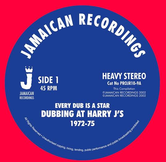 Every Dub Is A Star - Vinile LP