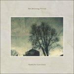 Home for Lost Souls - Vinile LP di Declining Winter