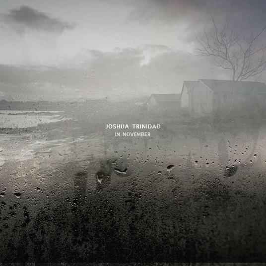 In November - Vinile LP di Joshua Trinidad