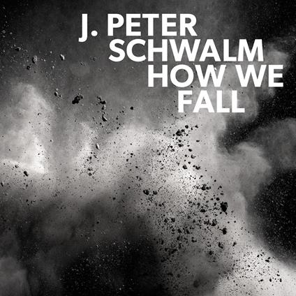 How We Fall - CD Audio di J. Peter Schwalm