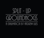 Split Up. A Exhumation - CD Audio di Groundhogs,Andrew Liles