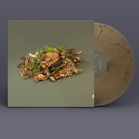 Forest Floor - Vinile LP di Fergus McCreadie