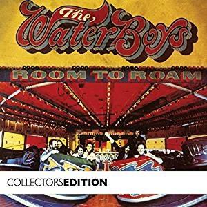 Room to Roam (Collectors Edition) - CD Audio di Waterboys