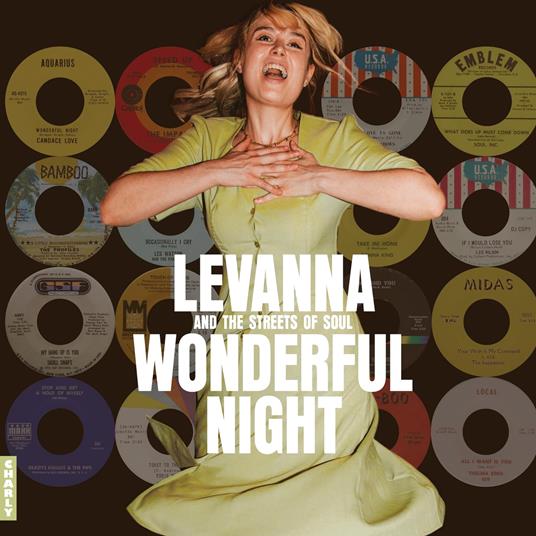 Wonderful Night Curated By Levanna - CD Audio