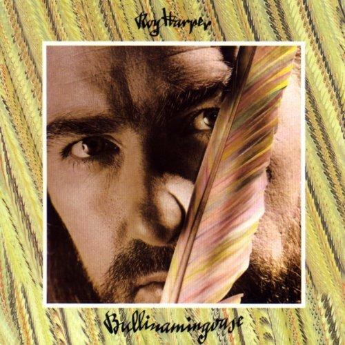 Bullinamingvase - Vinile LP di Roy Harper