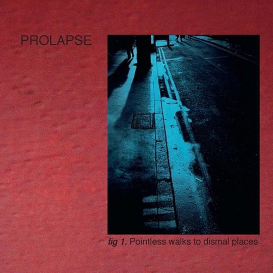 Pointless Walks To Dismal Places - Vinile LP di Prolapse