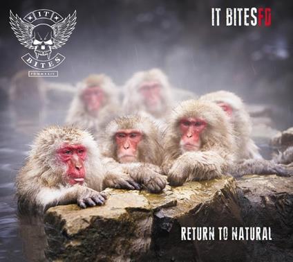 Return To Natural - CD Audio di It Bites Fd