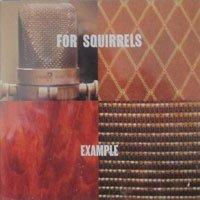Example - CD Audio di For Squirrels