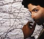 Musicology - CD Audio di Prince