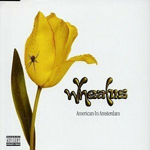 American in Amsterdam - CD Audio di Wheatus