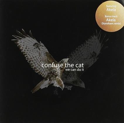 We Can Do it - CD Audio di Confuse the Cat