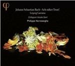 Ach Susser Trost! Cantate di Lipsia del 1723 - CD Audio di Johann Sebastian Bach,Philippe Herreweghe,Collegium Vocale Gent