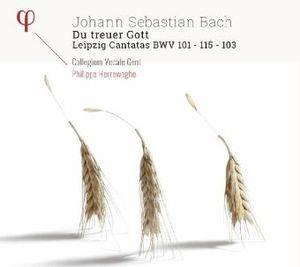 Du Treuer Gott - CD Audio di Johann Sebastian Bach,Philippe Herreweghe,Collegium Vocale Gent