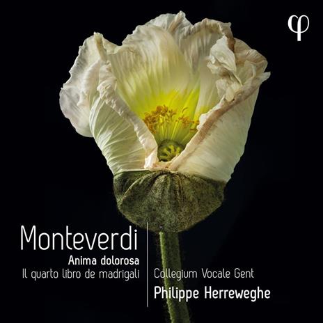 Il Quarto Libro de Madrigali - CD Audio di Claudio Monteverdi