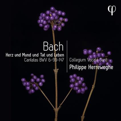 Herz Und Mund Und Tat Und Leben - CD Audio di Johann Sebastian Bach,Collegium Vocale Gent