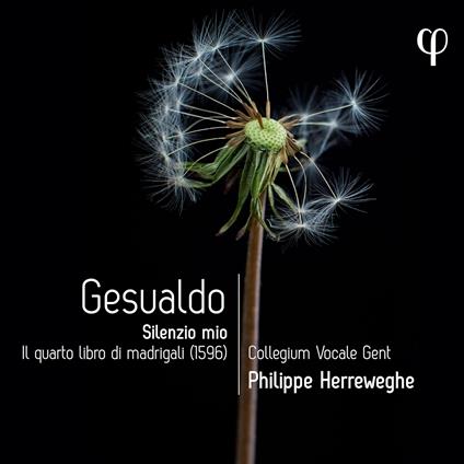 Silenzio Mio. Il Quarto Libro - CD Audio di Carlo Gesualdo,Collegium Vocale Gent