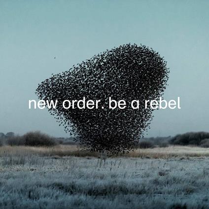 Be A Rebel - Vinile LP di New Order