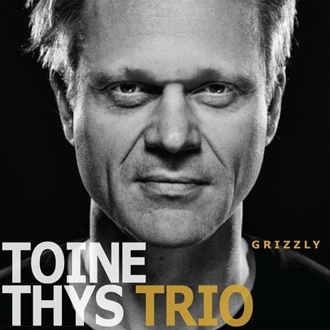 Grizzly - CD Audio di Toine Thys