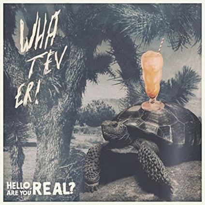 Hello Are You Real - Aron Dalesio - Vinile LP di Whatever