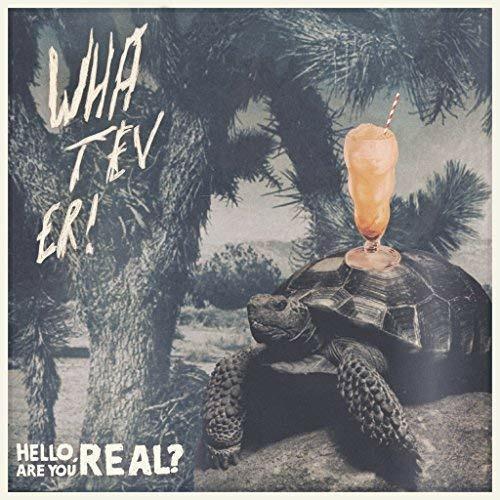 Hello Are You Real - Aron Dalesio - Vinile LP di Whatever