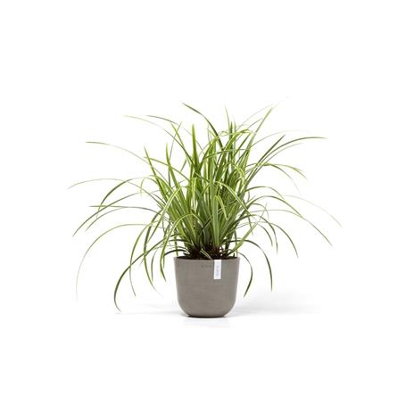 Ecopots Vaso Oslo Mini 19X16,5Cm Talpa - 2