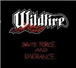 Brute Force and Ignorance