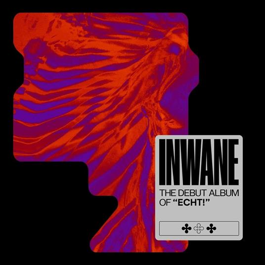 Inwane - Vinile LP di Echt!