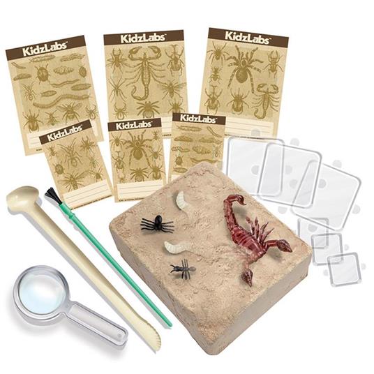 Kit scoperta della scienza - Scavare gli insetti