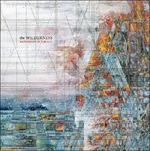 The Wilderness - CD Audio di Explosions in the Sky