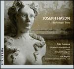 Bartolozzi Trios - CD Audio di Franz Joseph Haydn,Trio Galatea