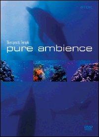 Pure Ambience. Terapeutic Temple (DVD) - DVD