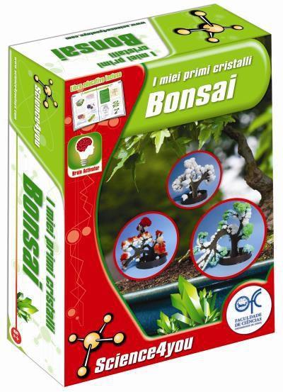 I miei primi cristalli bonsai - 2