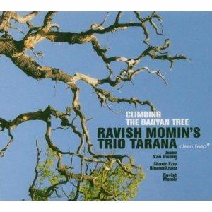 Climbing the Banyan Tree - CD Audio di Ravish Momin