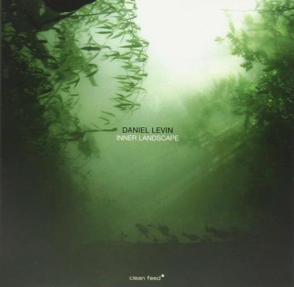 Inner Landscape - CD Audio di Daniel Levin