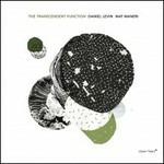 Transcendent Function - CD Audio di Mat Maneri,Daniel Levin