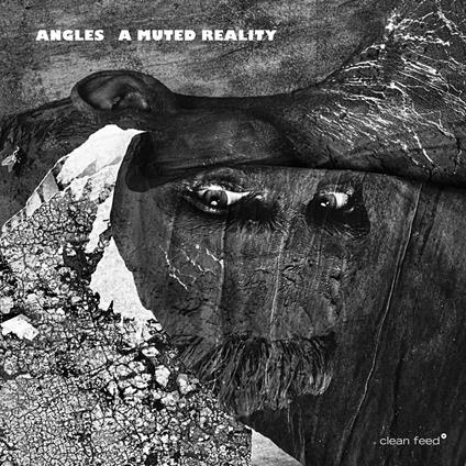 A Muted Reality - CD Audio di Angles 8