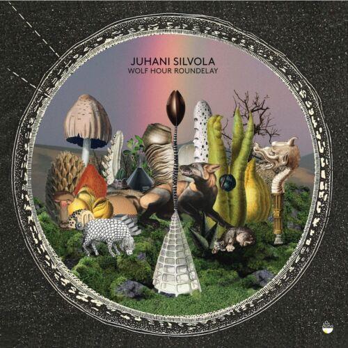 Wolf Hour Roundelay - CD Audio di Juhani Silvola