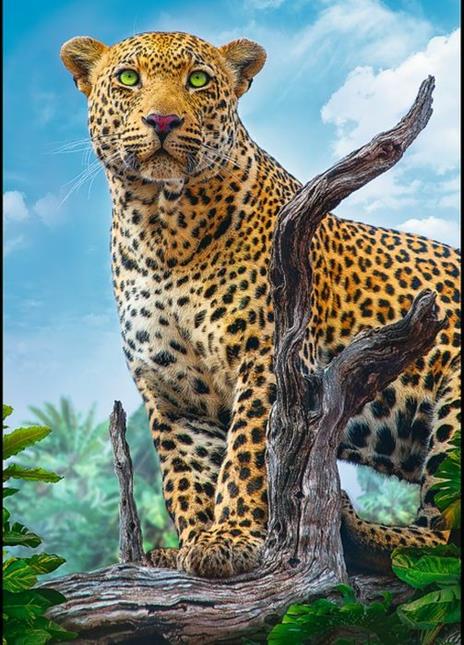 Puzzle da 500 Pezzi - Wild leopard - 2
