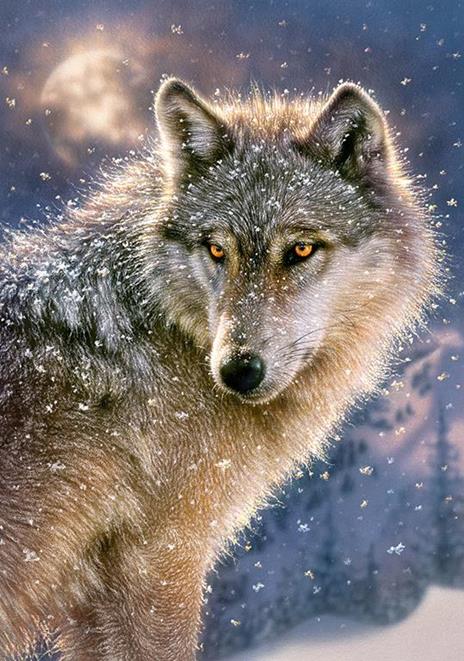 Castorland Lone wolf 500 pcs Puzzle 500 pz - 3