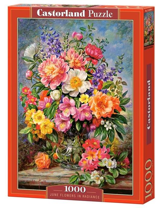 Castorland June Flowers in Radiance Puzzle 1000 pz - 2